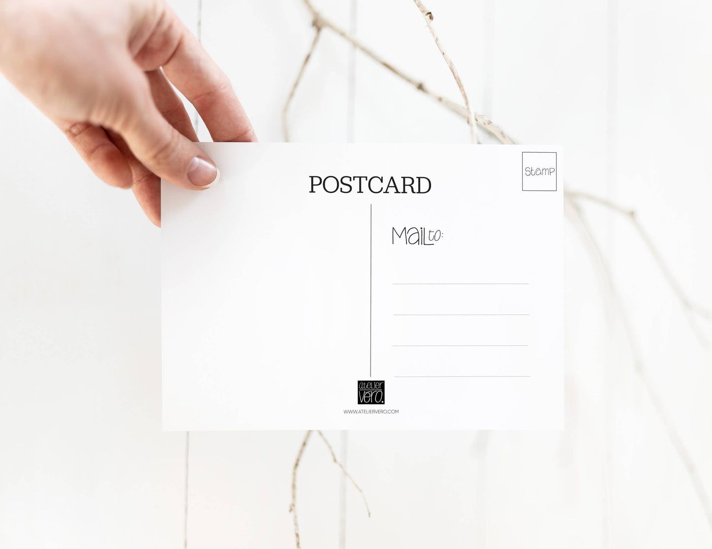 Cape Cod MA Postcard: Fun Clams Quahog Beach Coastal Card