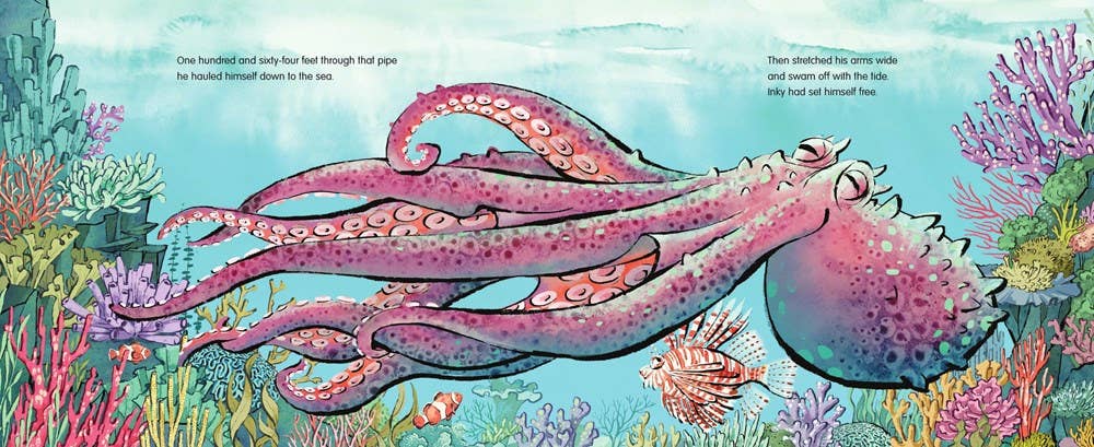 The Escape Artist : A True Story of Octopus Adventure