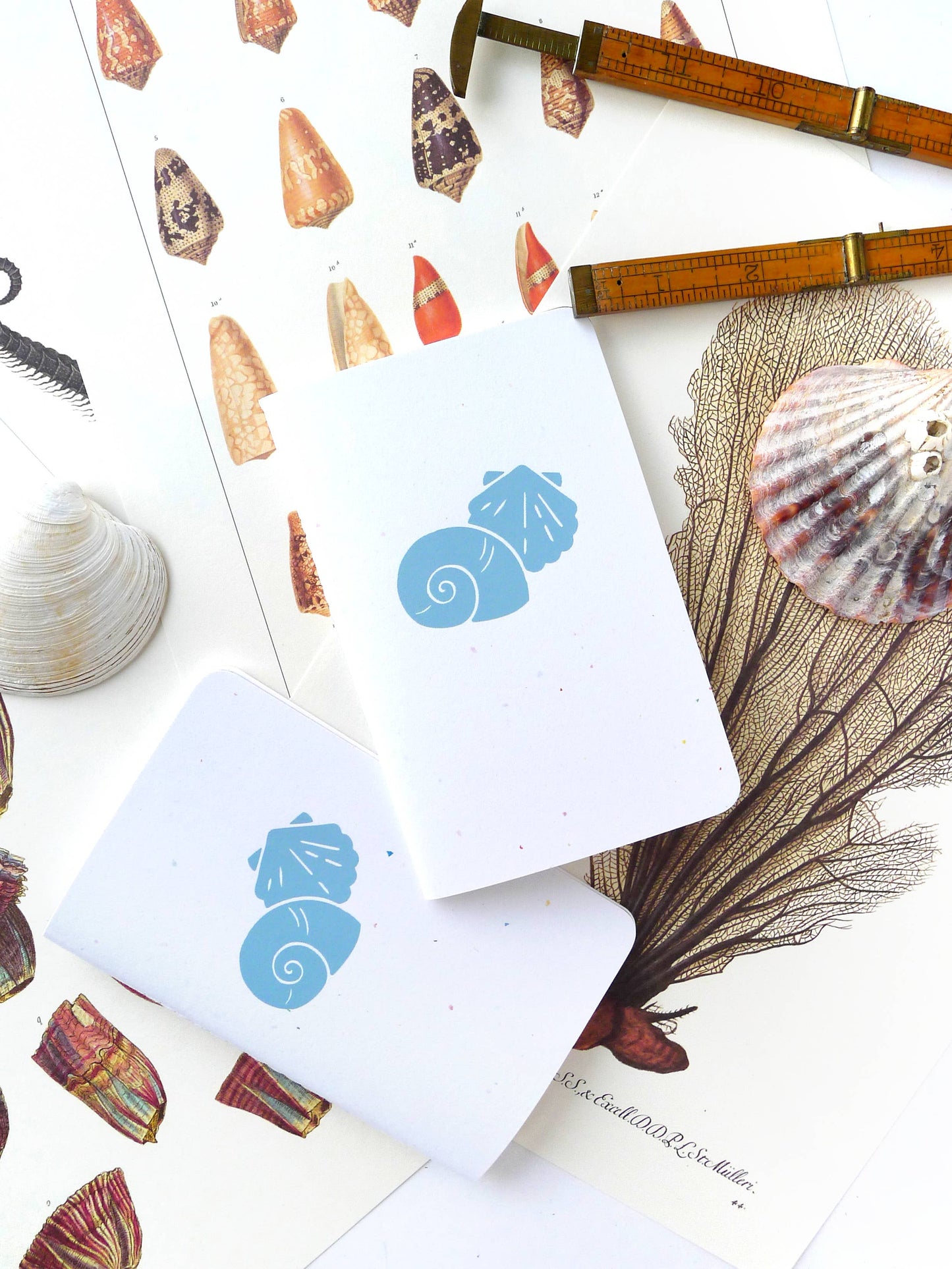 Shell Pocket Jotter: Blank