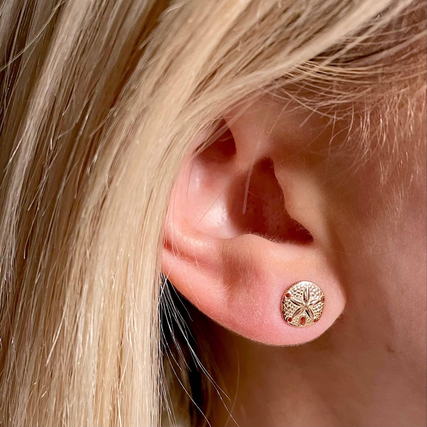 Sand Dollar Earrings: Gold