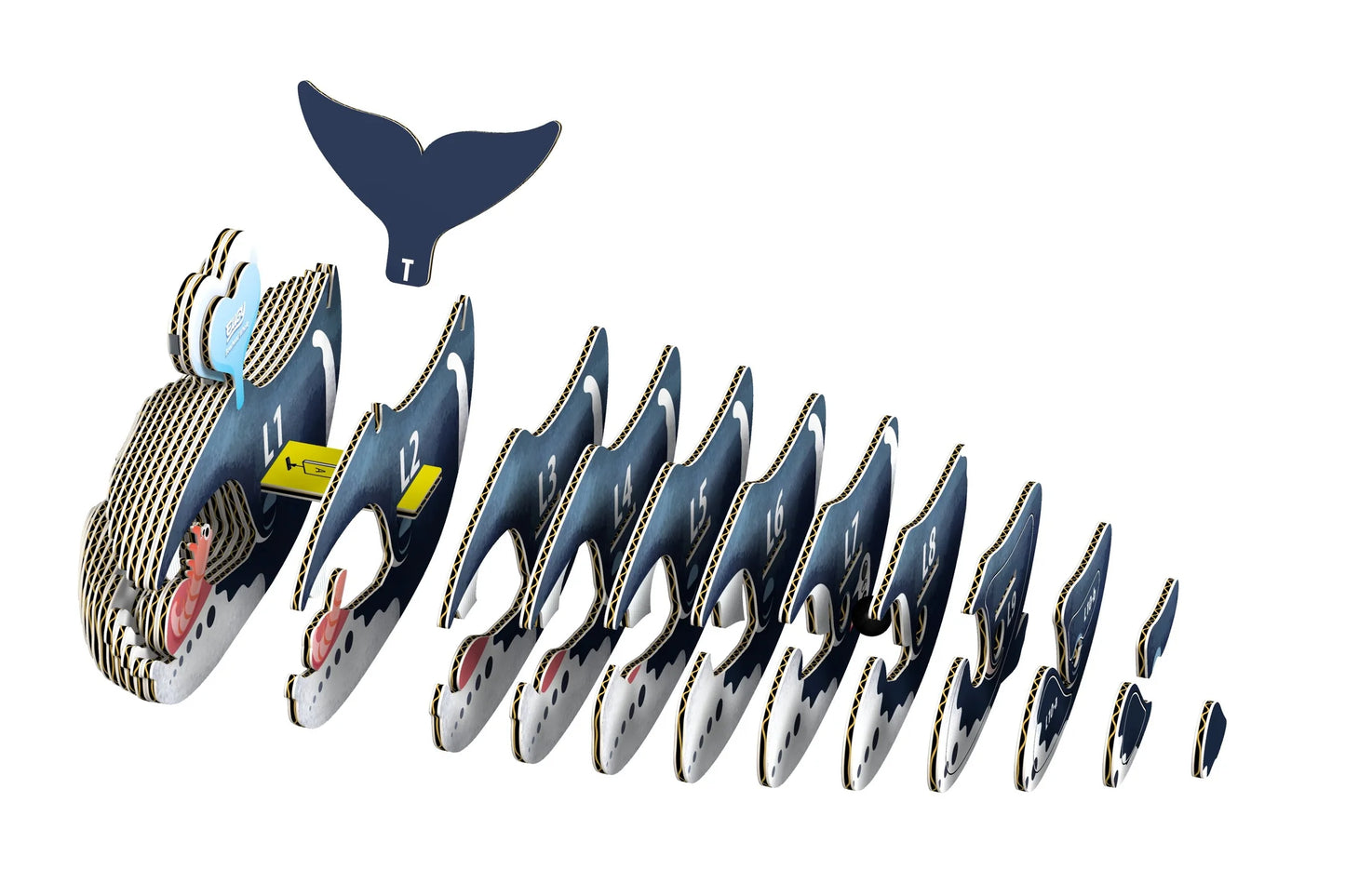 Eugy Bowhead Whale 3D Puzzle