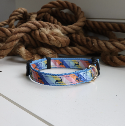 Cape Cod Life Beachfront 🌈 Rainbow Collar