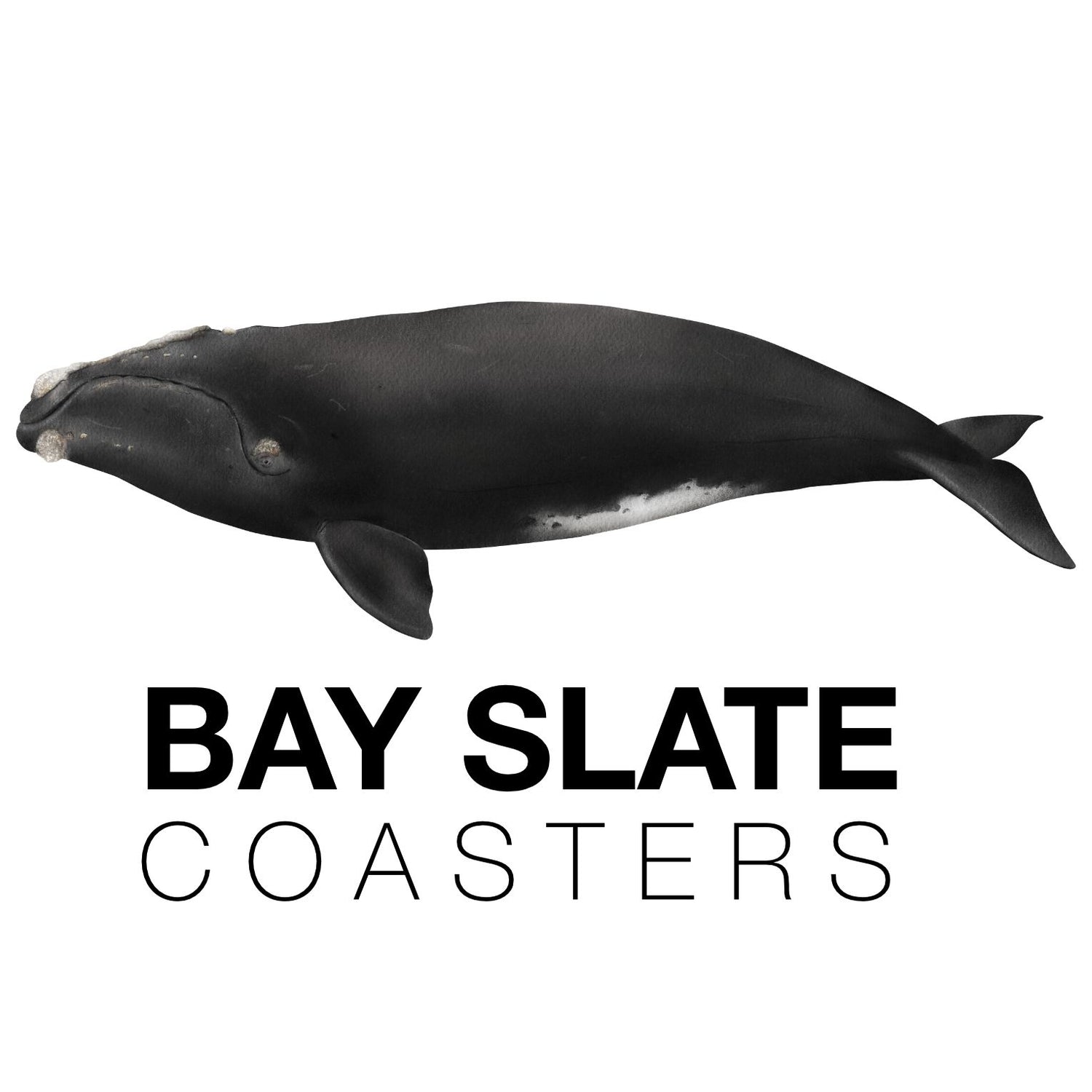 Bay Slate Coasters