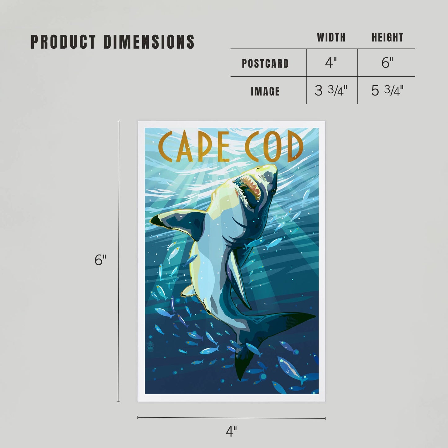 PREMIUM POSTCARDS Cape Cod, Massachusetts, Stylized Shark