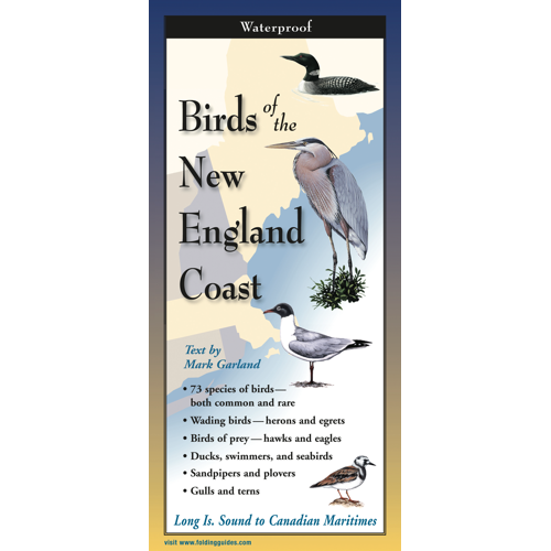 Birds of the New England Coast - Nature Guide