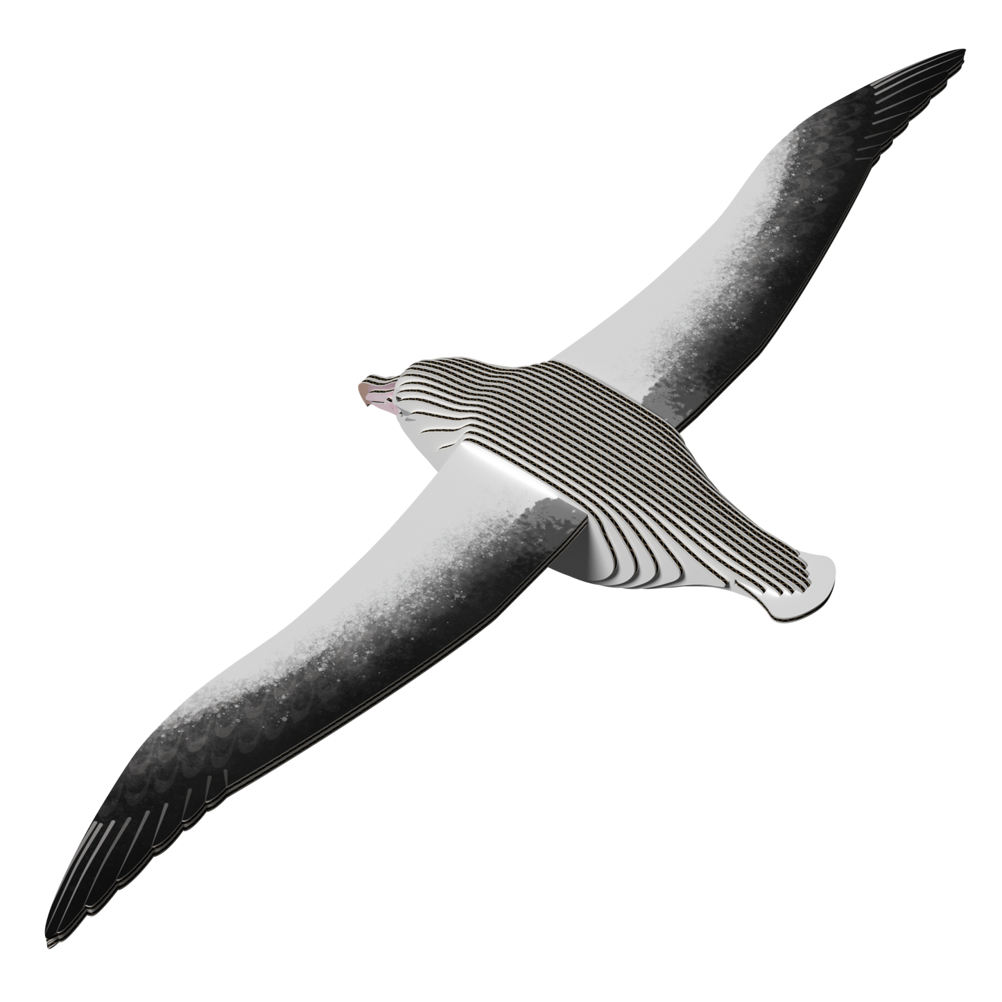 EUGY Royal Albatross 3D Puzzle