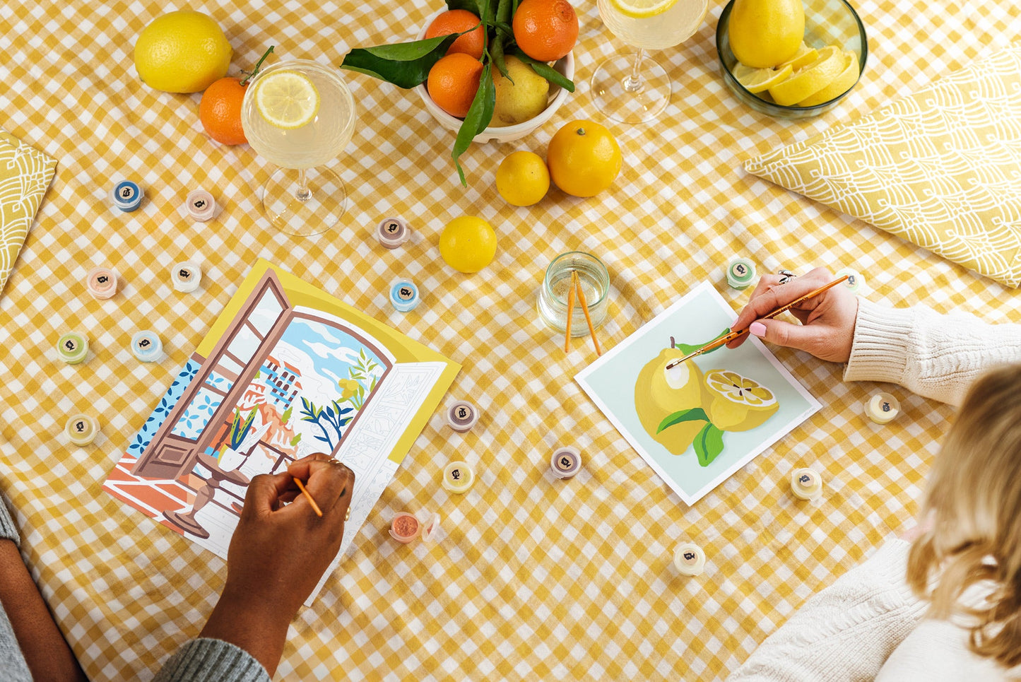 Coastal Catnap | 8x10 paint-by-number kit