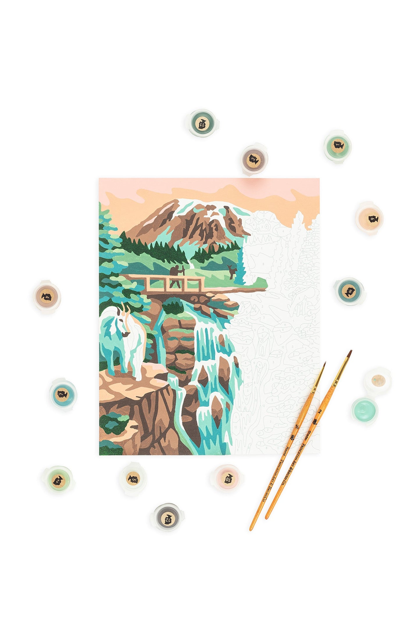 Mount Rainier National Park | 8x10 paint-by-number kit