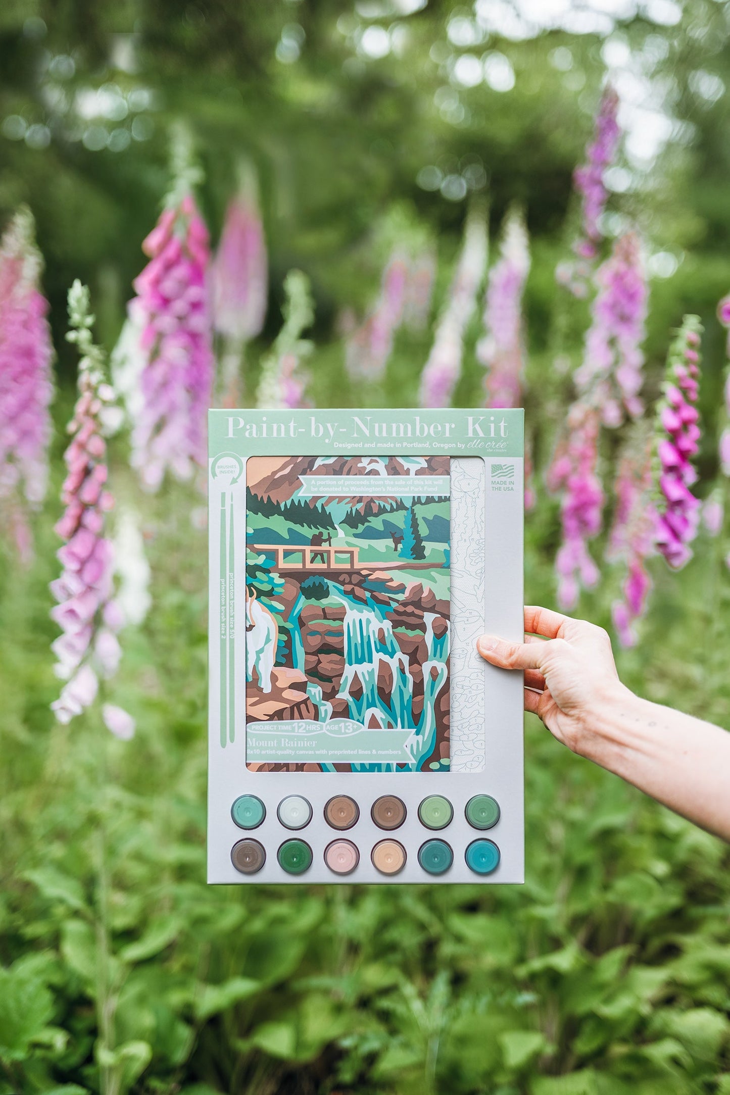 Mount Rainier National Park | 8x10 paint-by-number kit