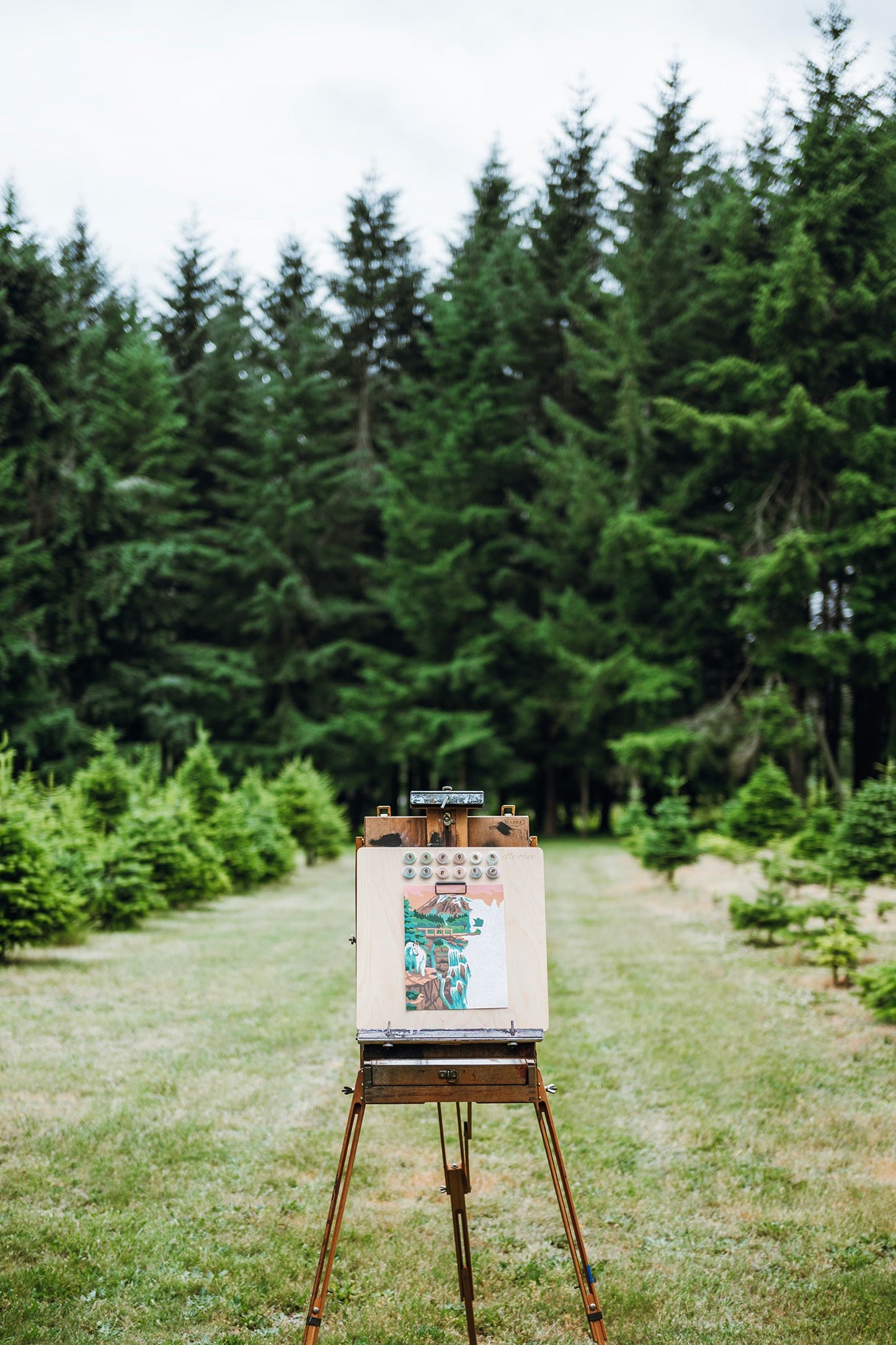 Mount Rainier National Park | 8x10 paint-by-number kit