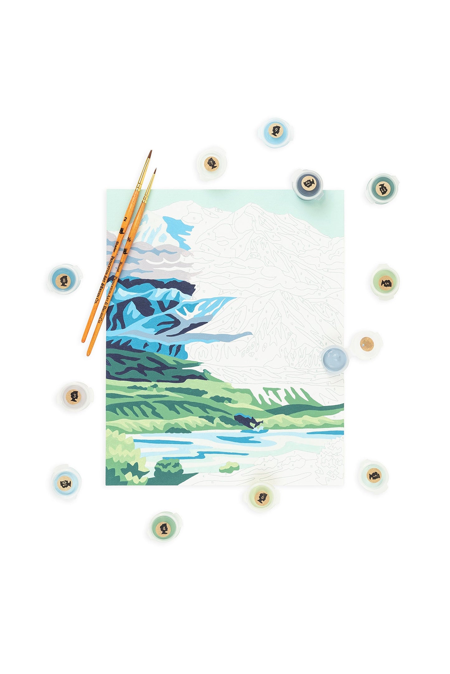 Denali National Park | 8x10 paint-by-number kit