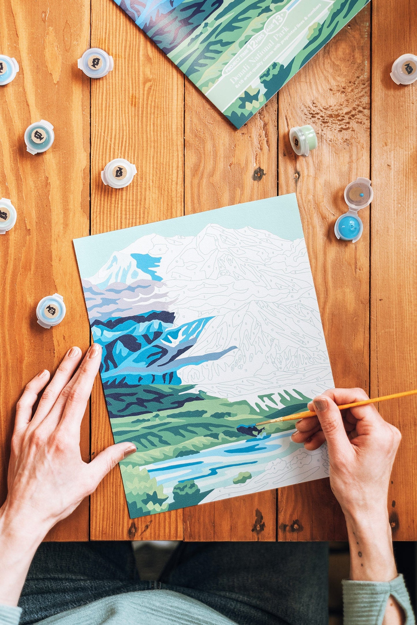 Denali National Park | 8x10 paint-by-number kit