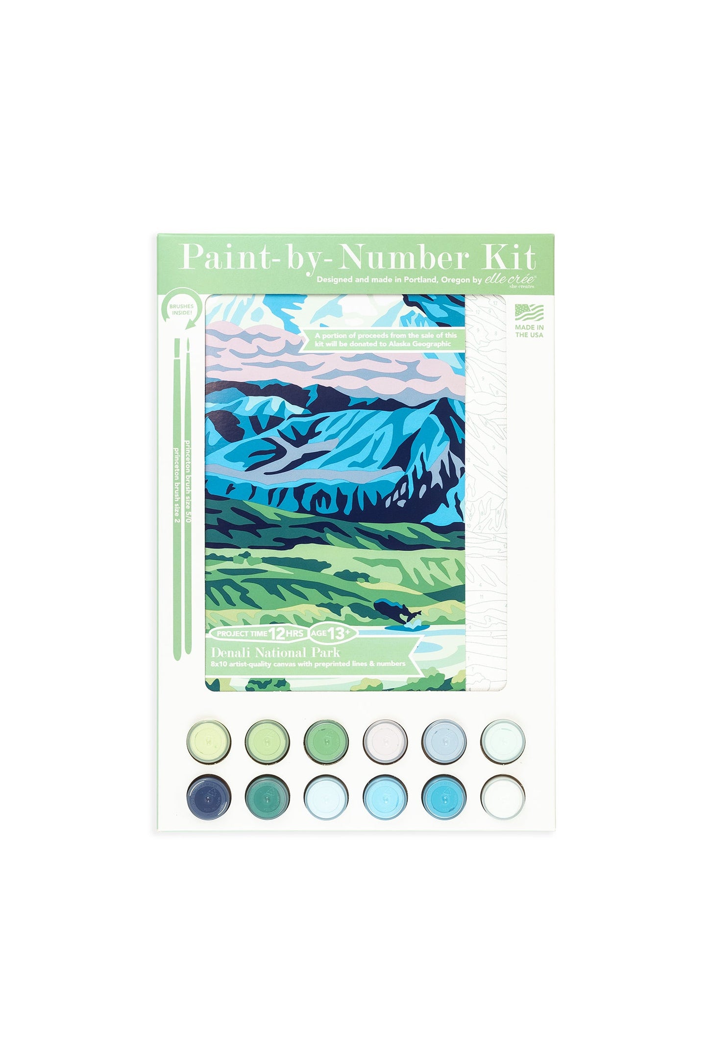 Denali National Park | 8x10 paint-by-number kit
