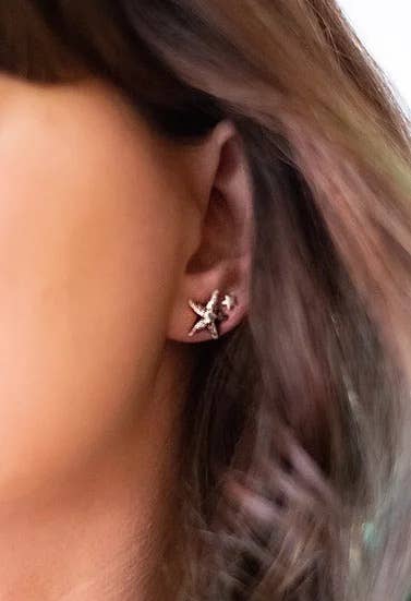 Starfish Studs: Bronze