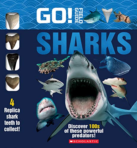 GO! Field Guide: Sharks book cover with replica shark teeth