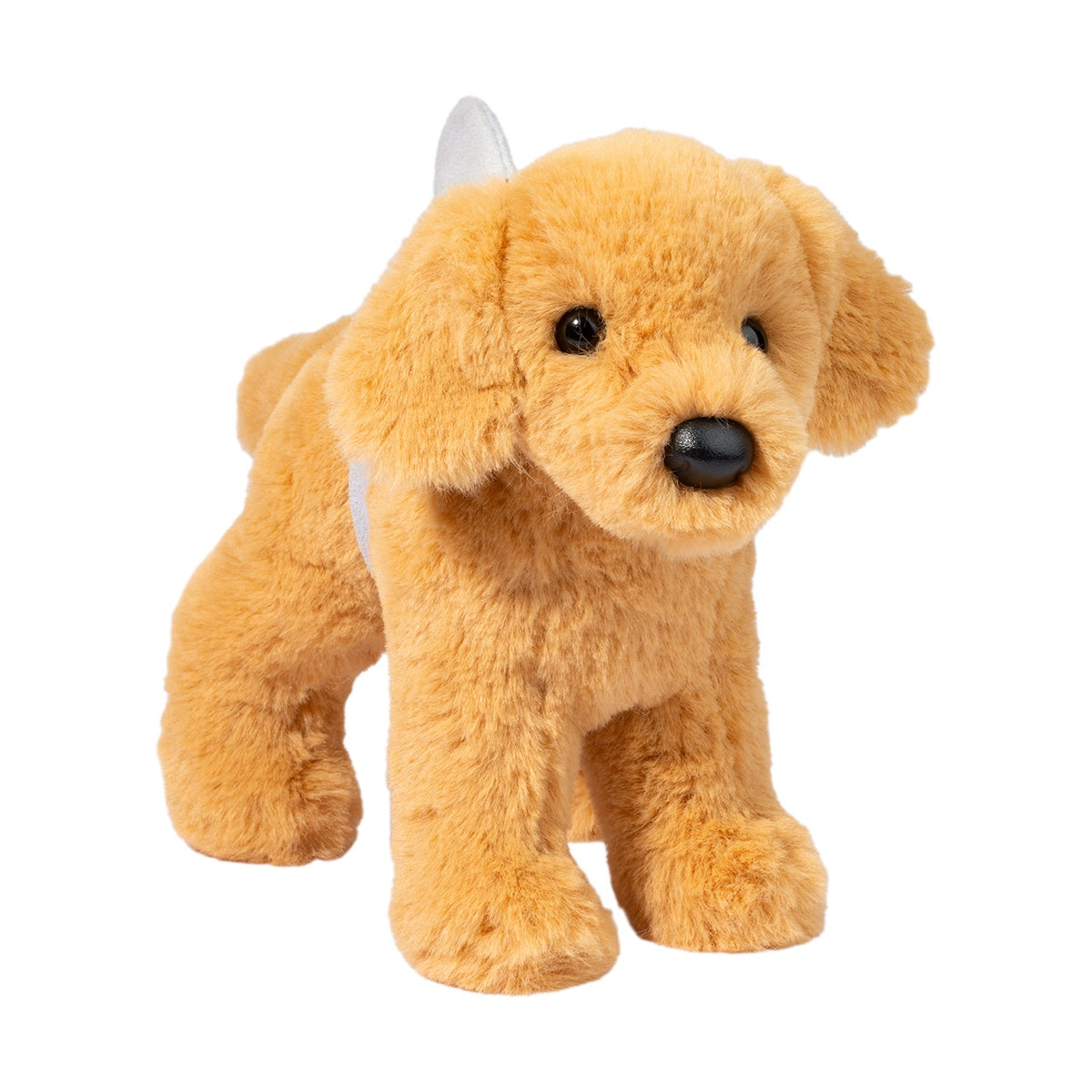 Sharky the Golden Retriever