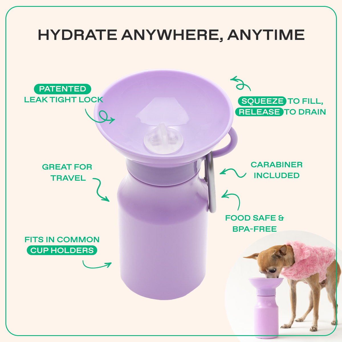 15oz Original Springer Dog Travel Water Bottle