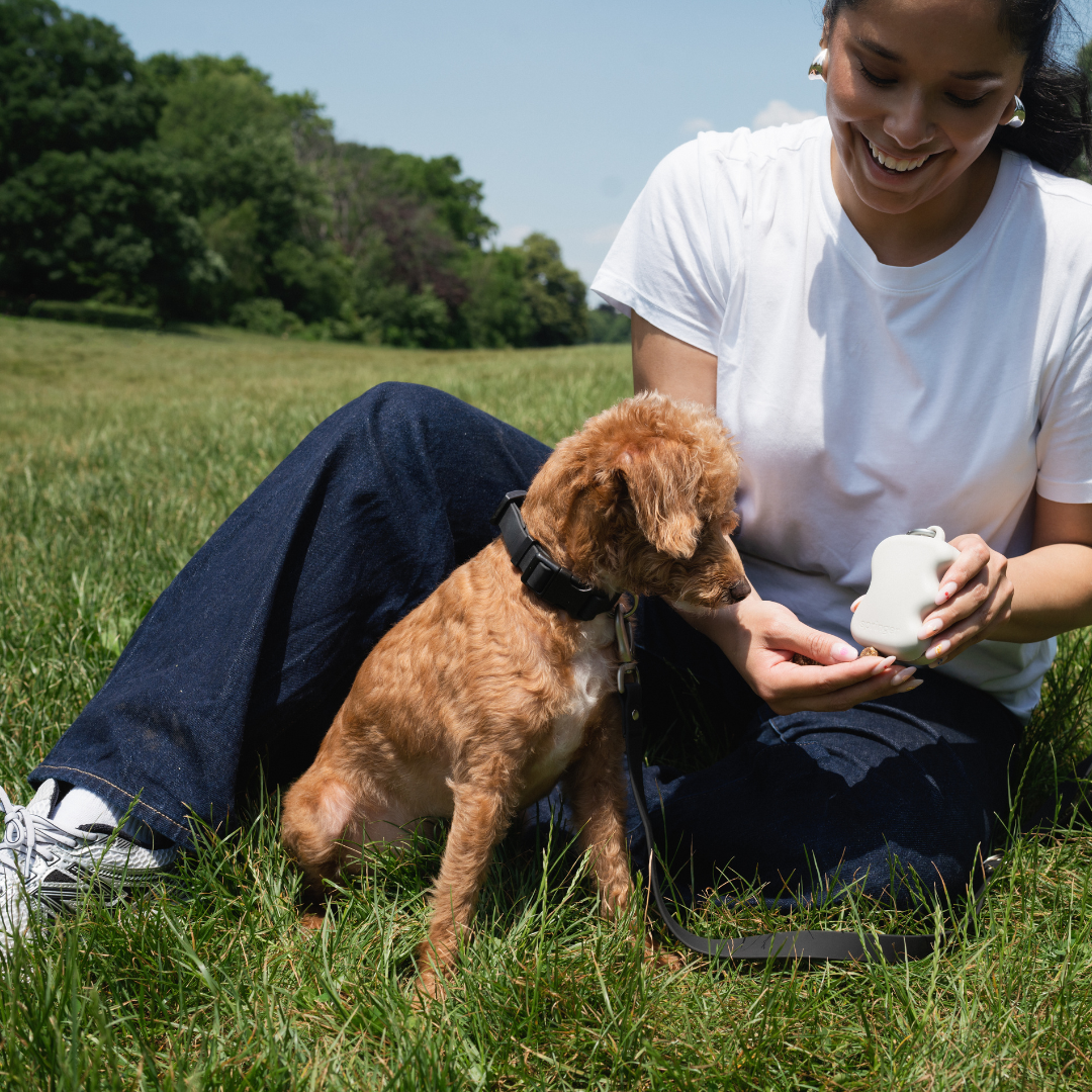 The Silicone Dog Treat Dispenser