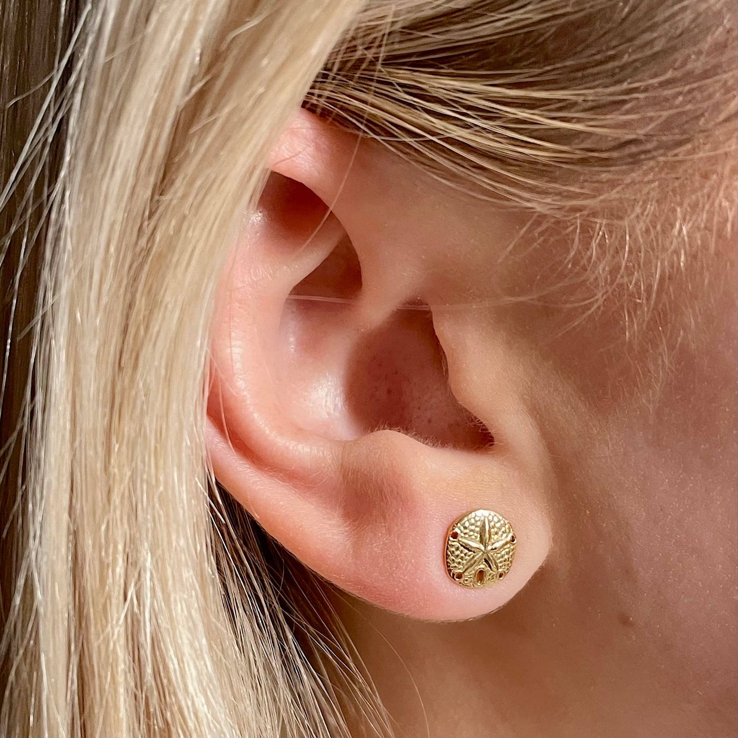Sand Dollar Earrings: Gold