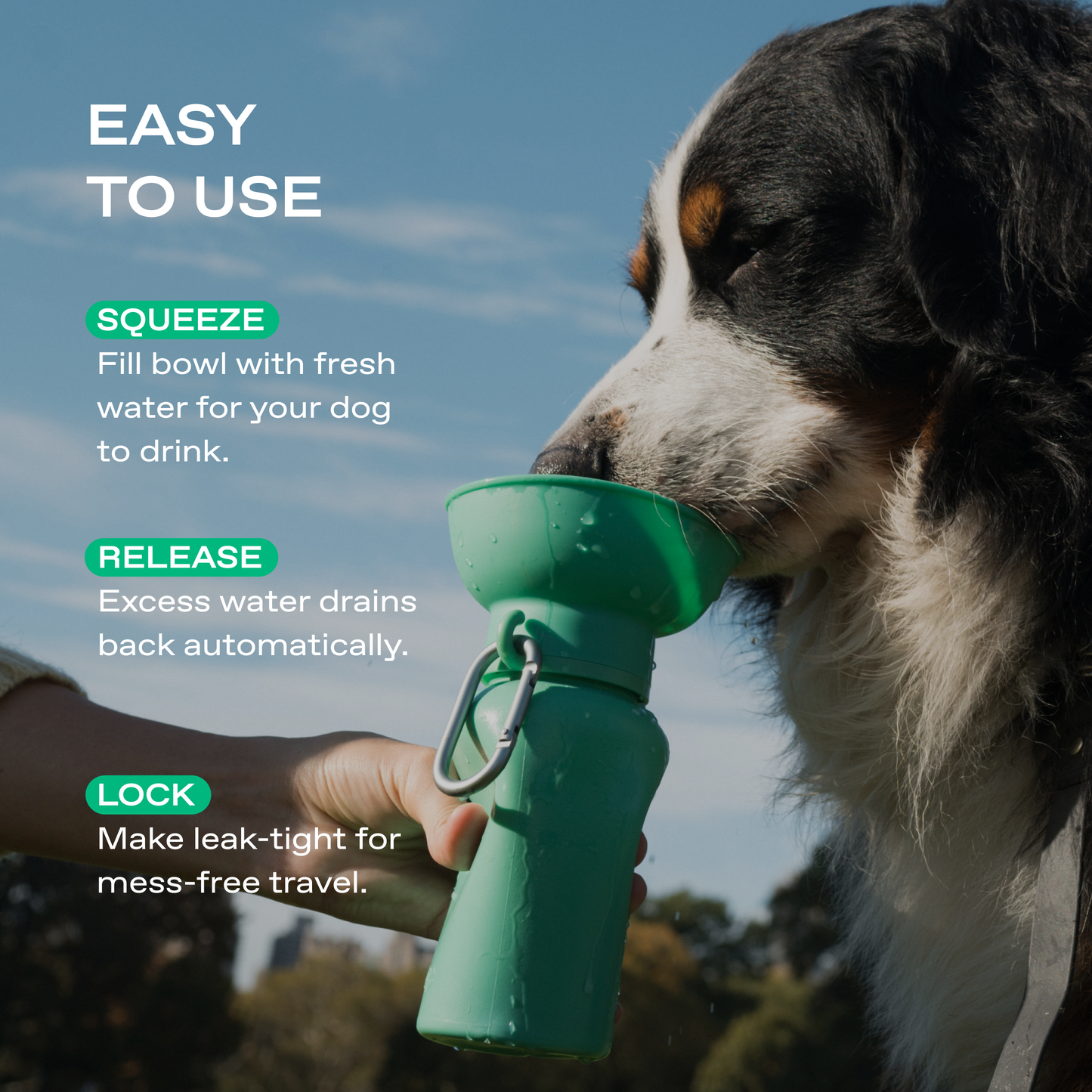 20oz Flip Springer Dog Travel Water Bottle