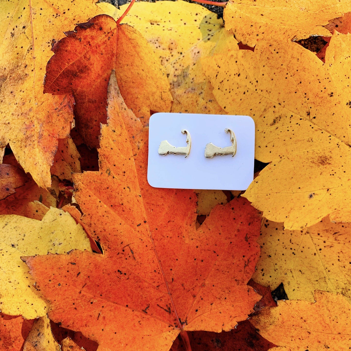 Cape Cod Earrings: Gold
