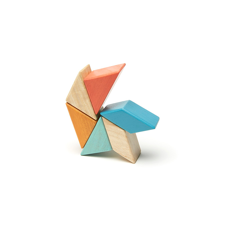 Pocket Pouch Prism Magnetic Wooden Blocks 6 pieces
