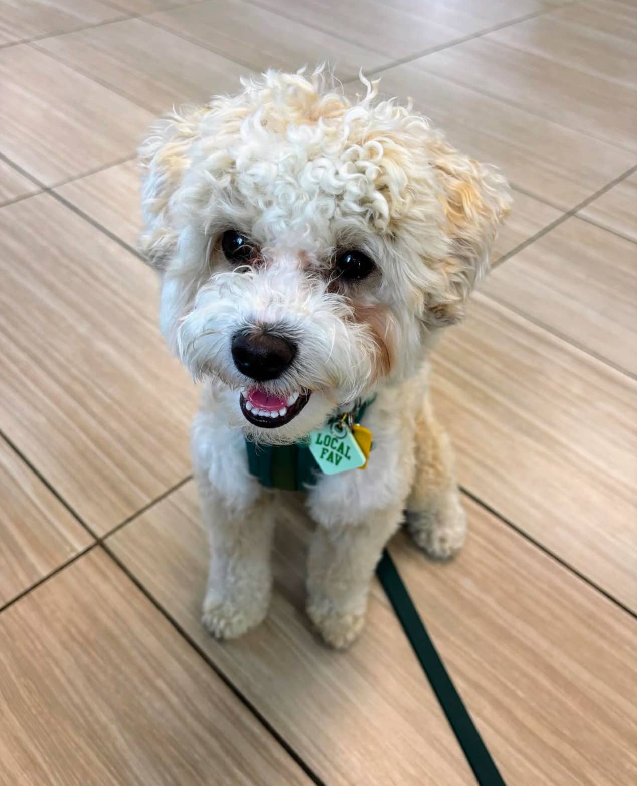 Local Fav Pet Tag