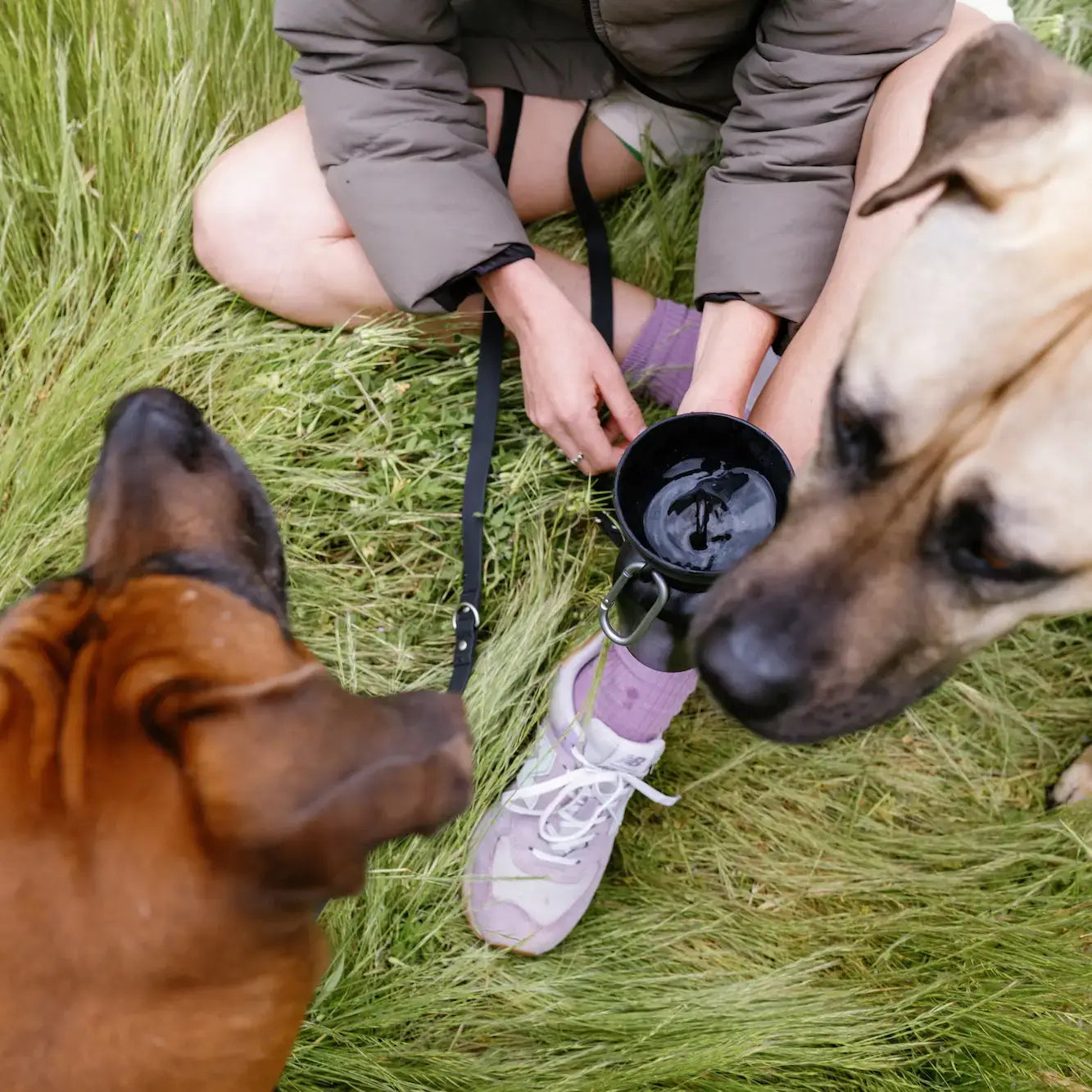 Dog Travel Water Bottle, 20oz, Flip Silicone (Mixed 12 Pack): Mixed (12 Pack)