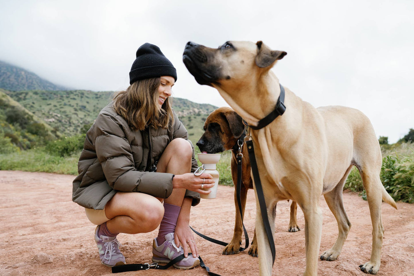 Dog Travel Water Bottle, 20oz, Flip Silicone (Mixed 12 Pack): Mixed (12 Pack)