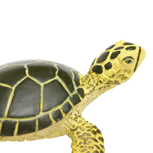 Wild Safari Sea Life Baby Green Sea Turtle figurine - view 1