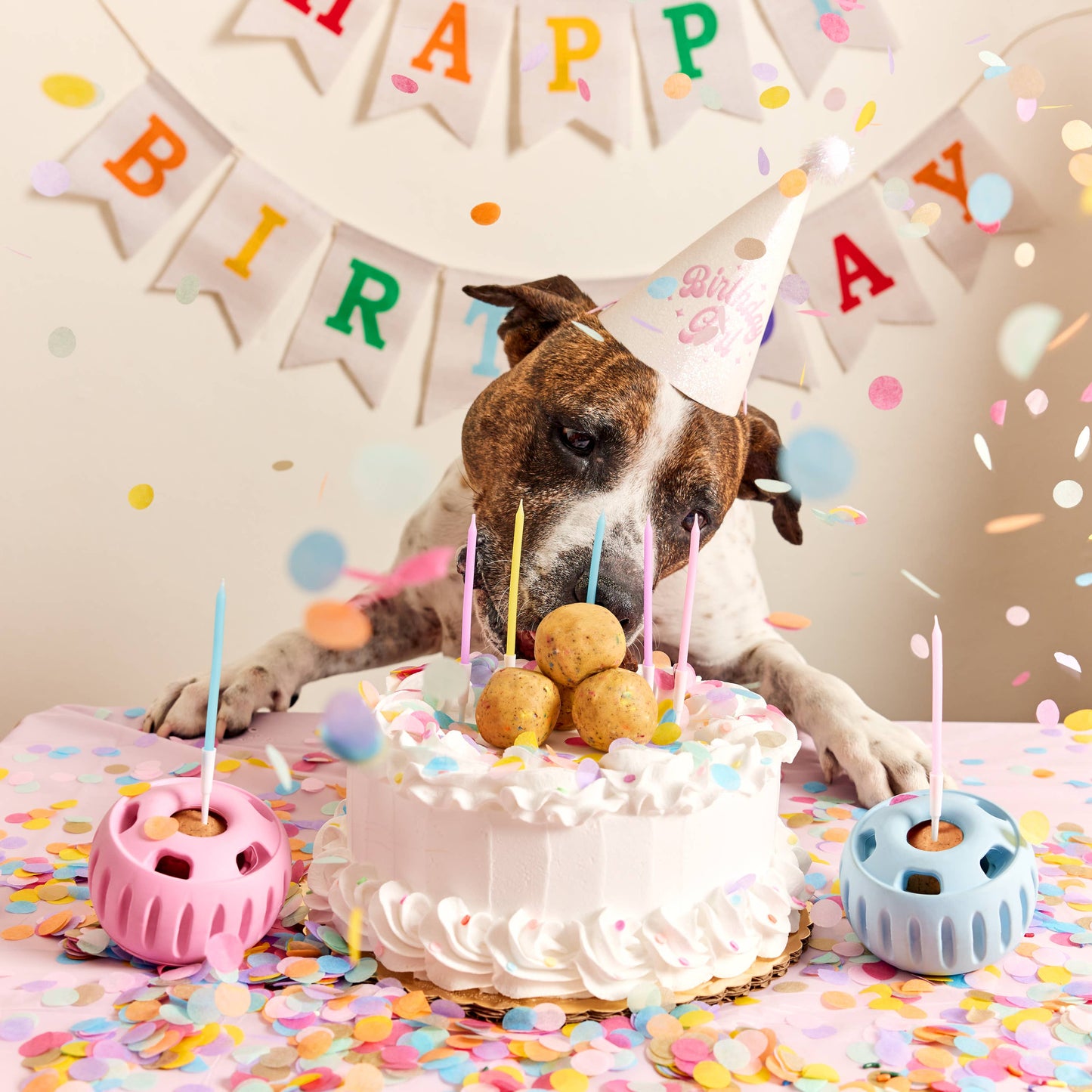 Party Pupsicle: Blue / X-Large