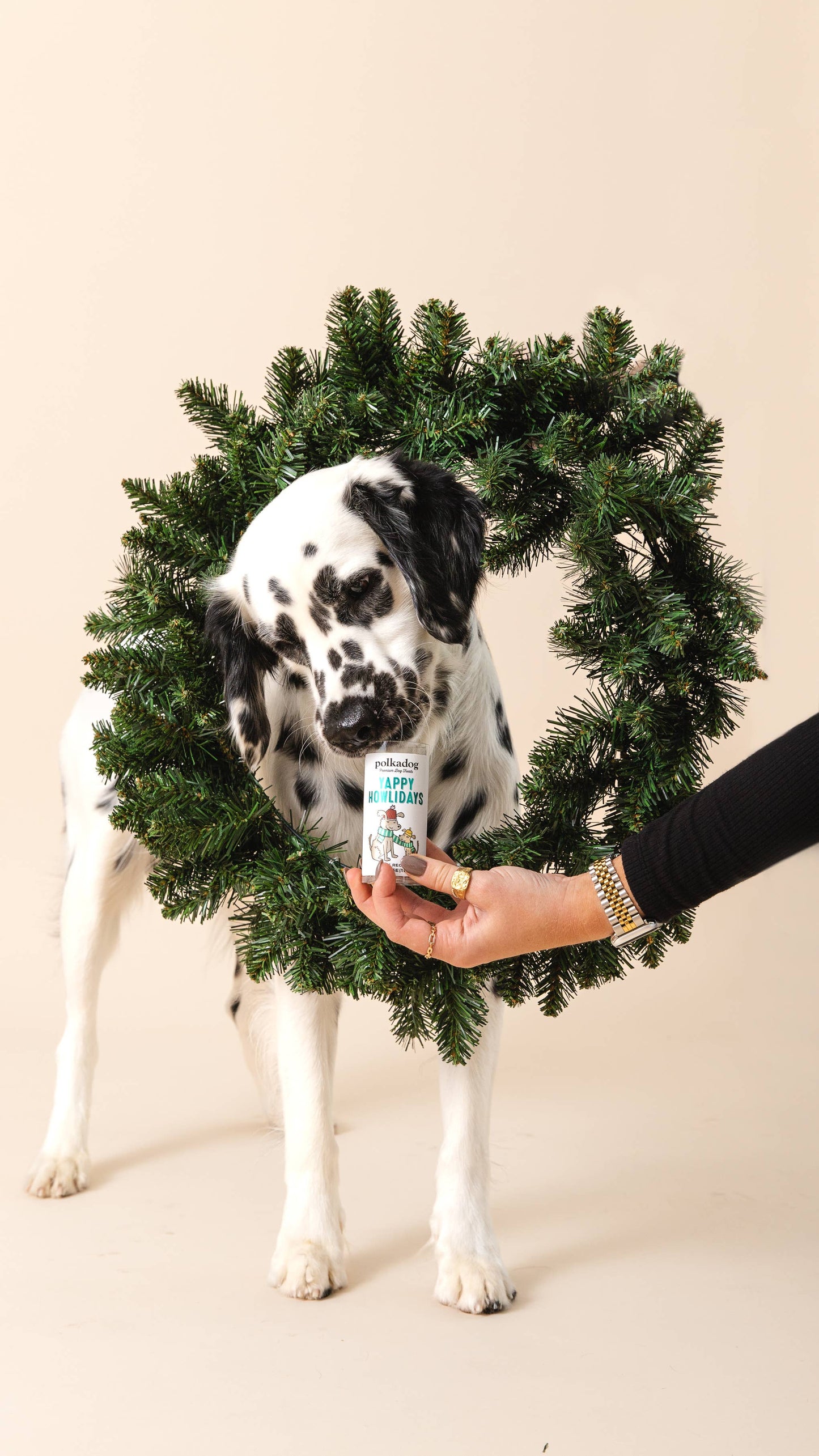 Holiday Mini Tube: Yappy Howlidays - Dog Treats