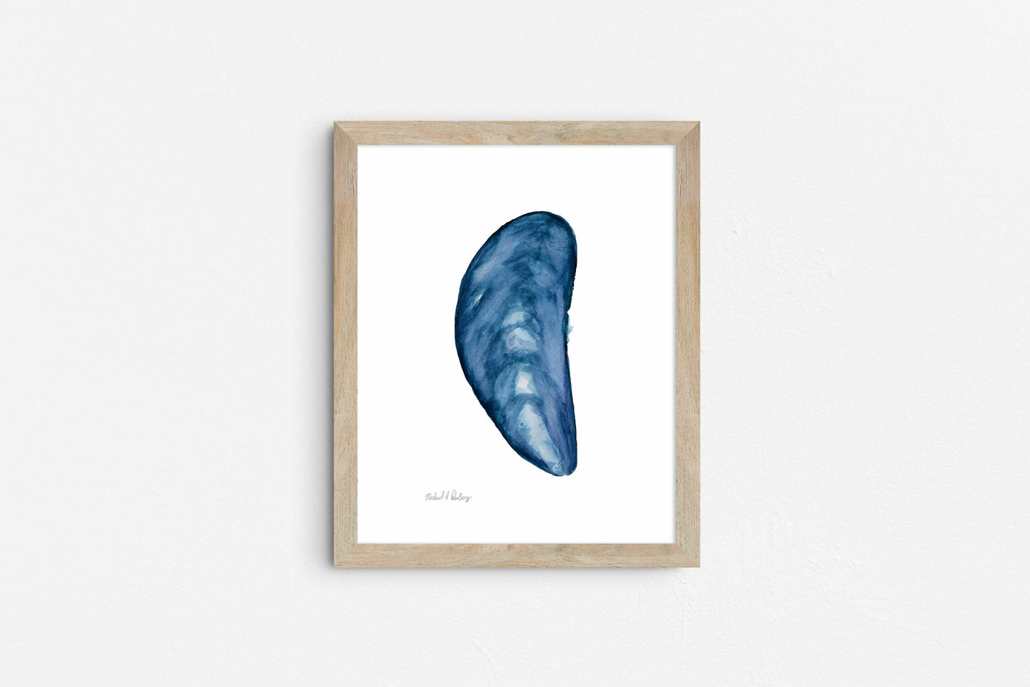 Mussel Shell Singles, Watercolor