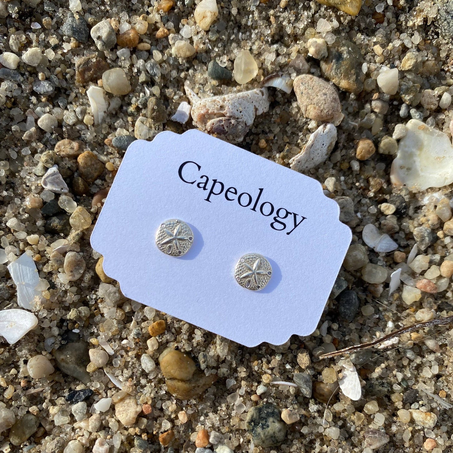 Sand Dollar Earrings: Silver
