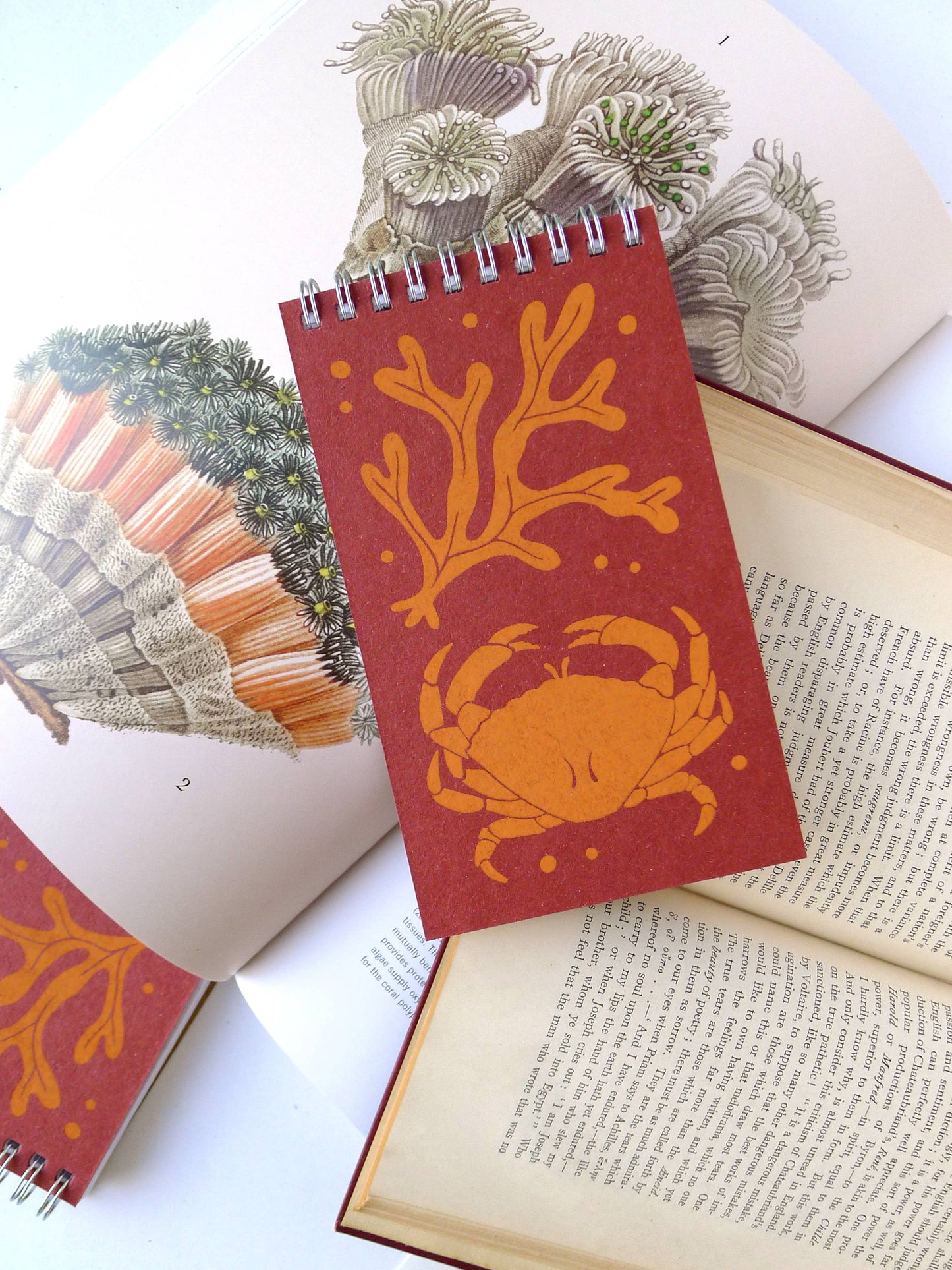 Crab Notepad: Blank