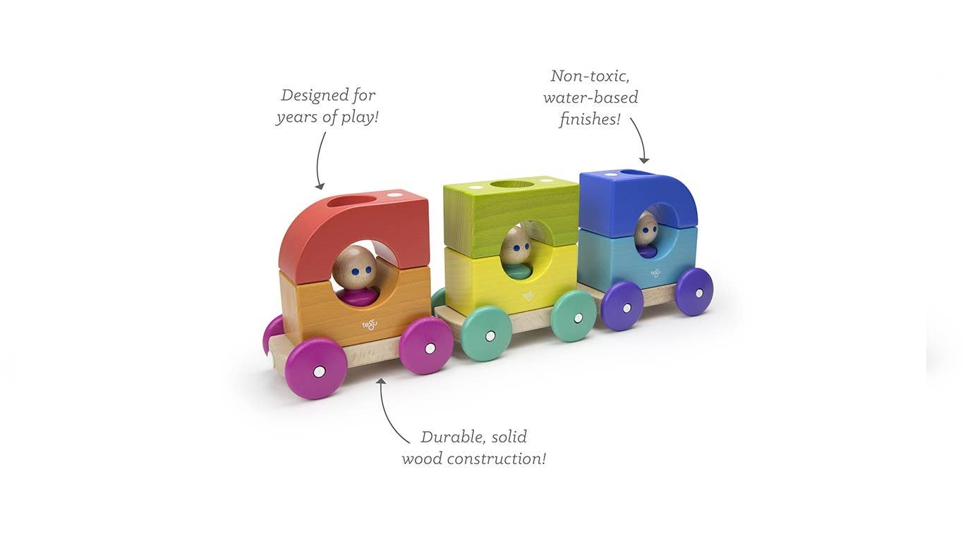 Magnetic Tegu Tram: Rainbow