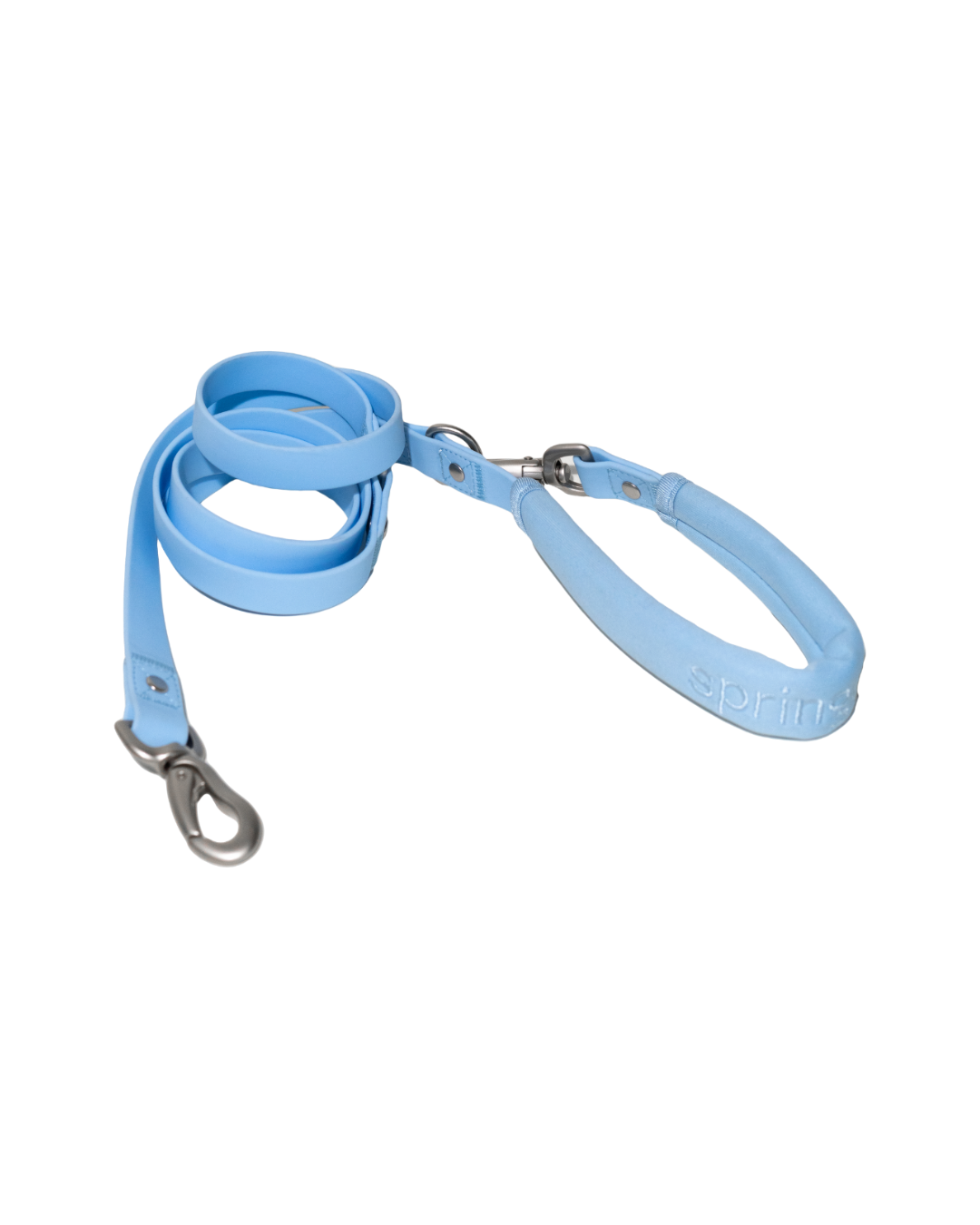 The Dog Leash