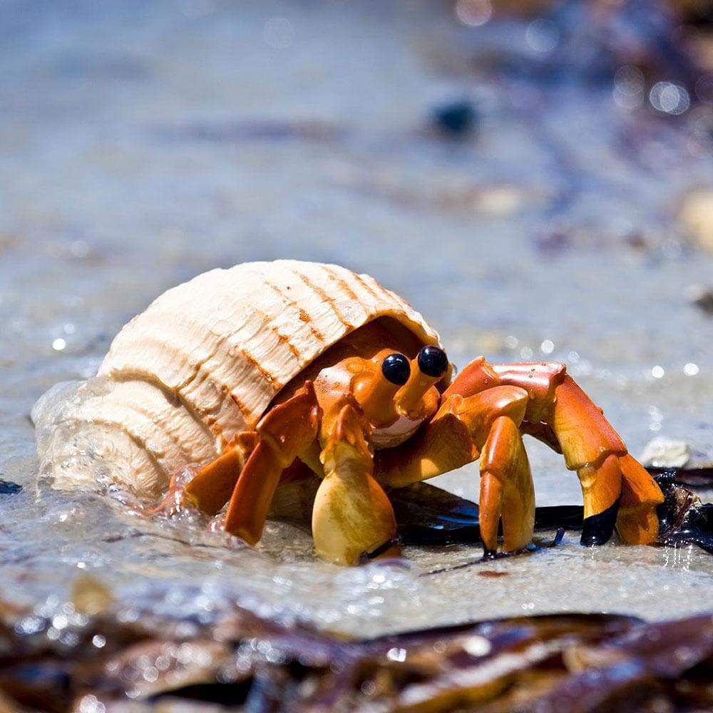 Safari Ltd Hermit Crab figurine side view