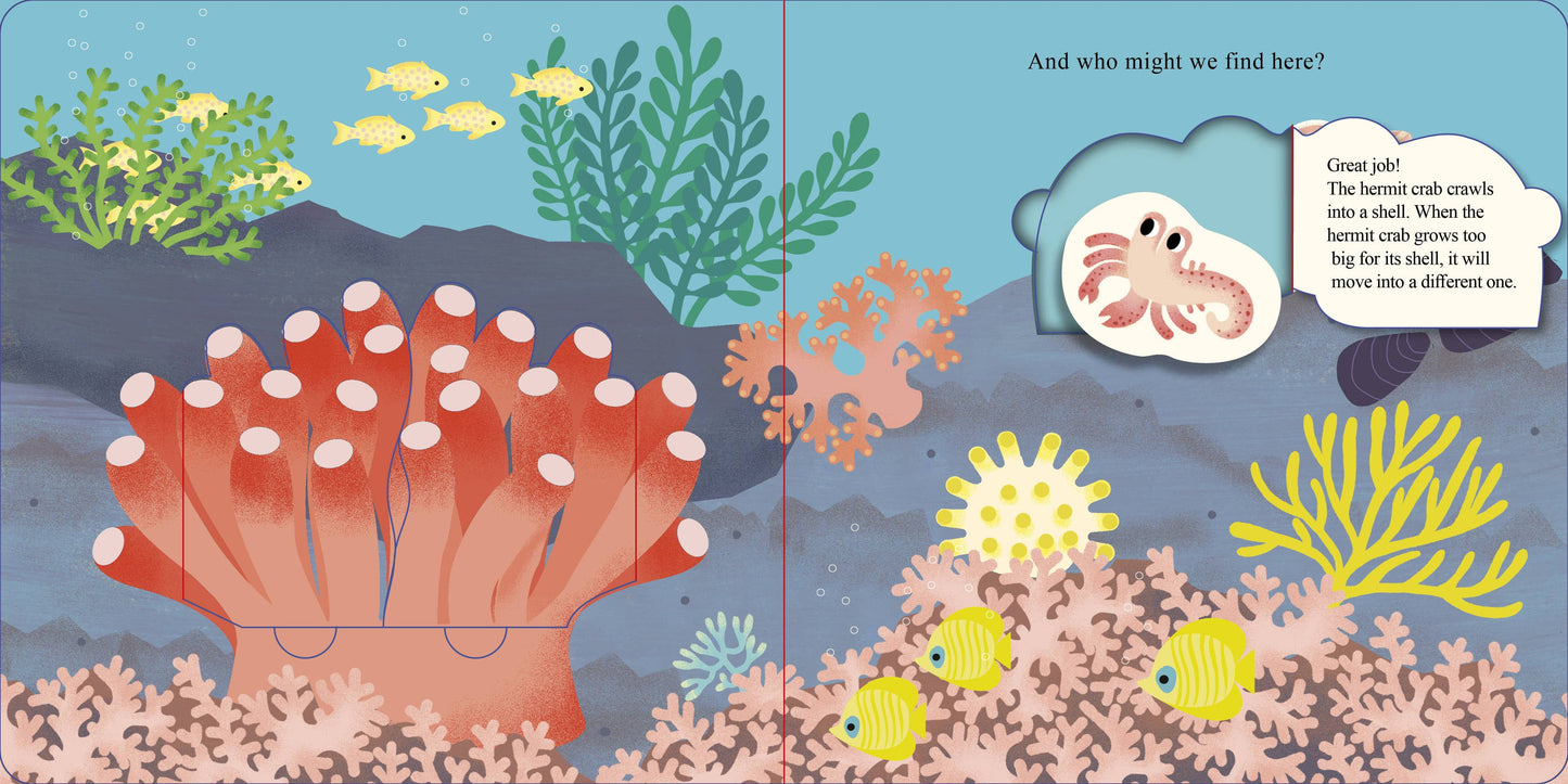 Who Is Hiding in the Sea?