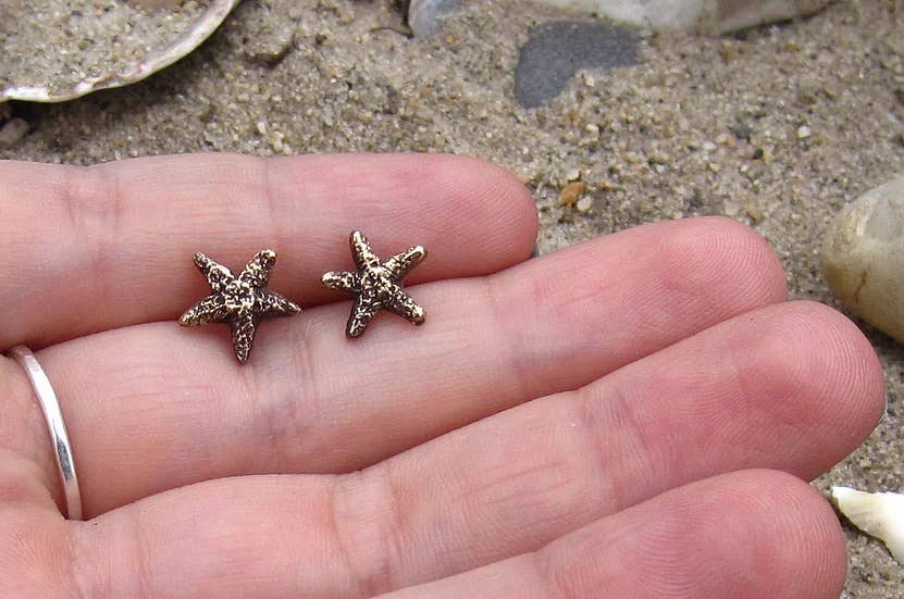 Starfish Studs: Bronze
