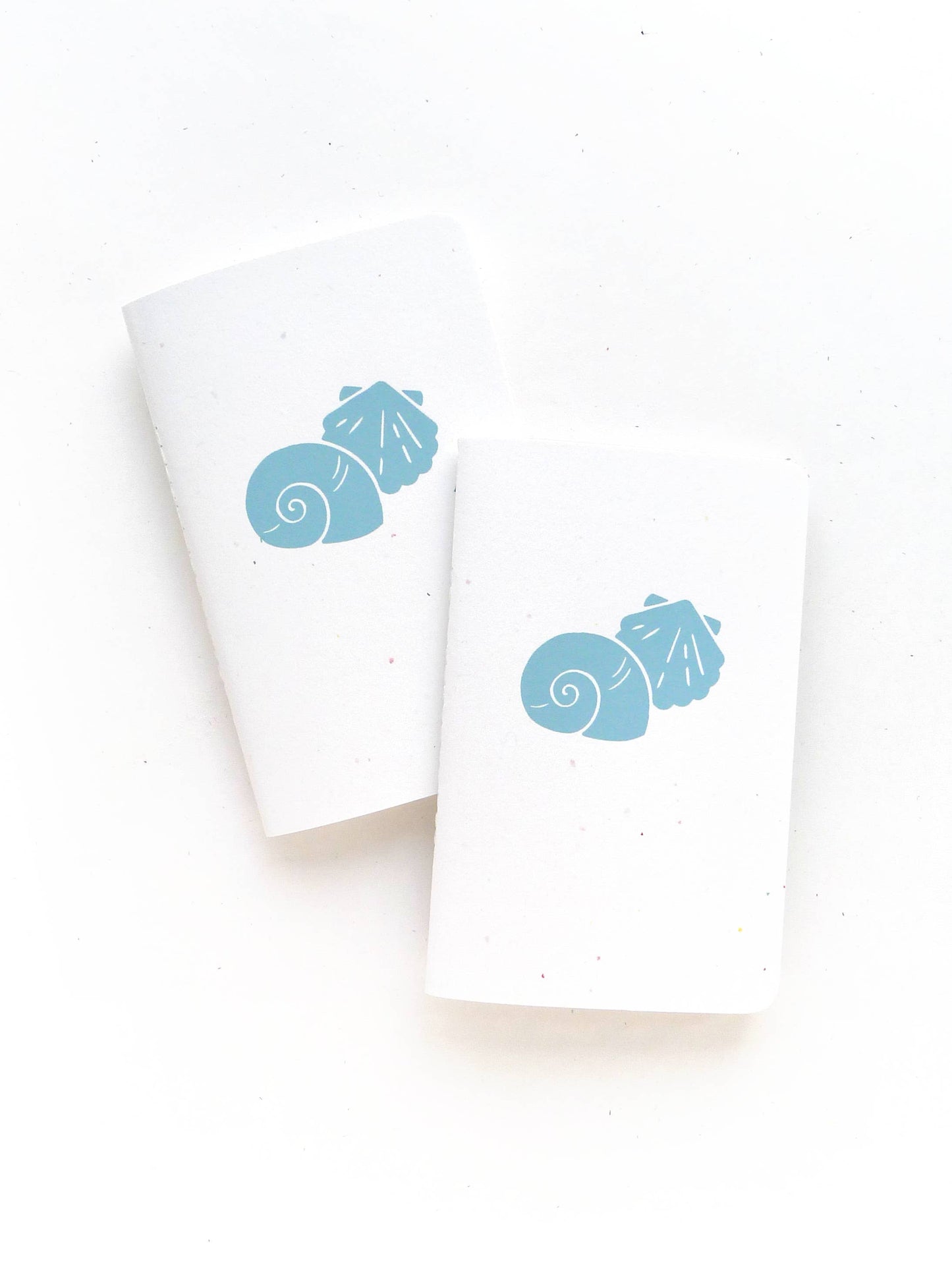 Shell Pocket Jotter: Blank