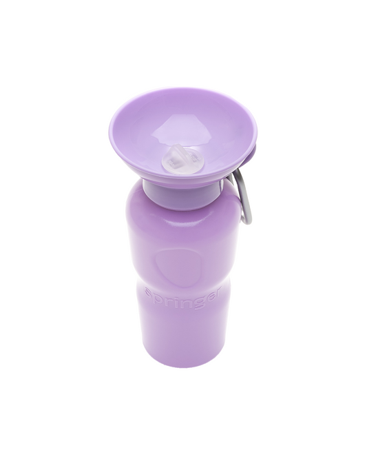 22oz Original Springer Dog Travel Water Bottle