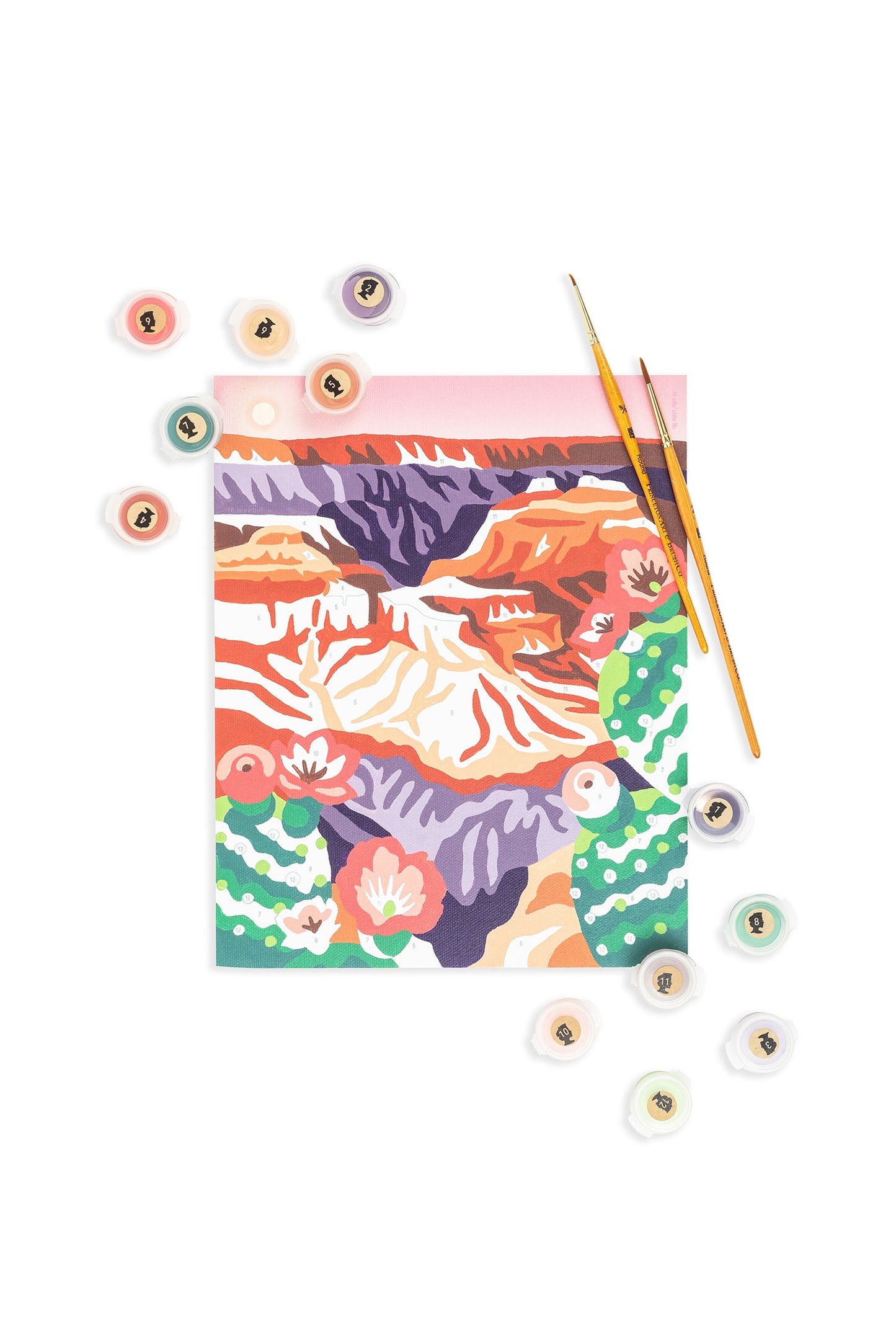 Grand Canyon National Park | 8x10 paint-by-number kit