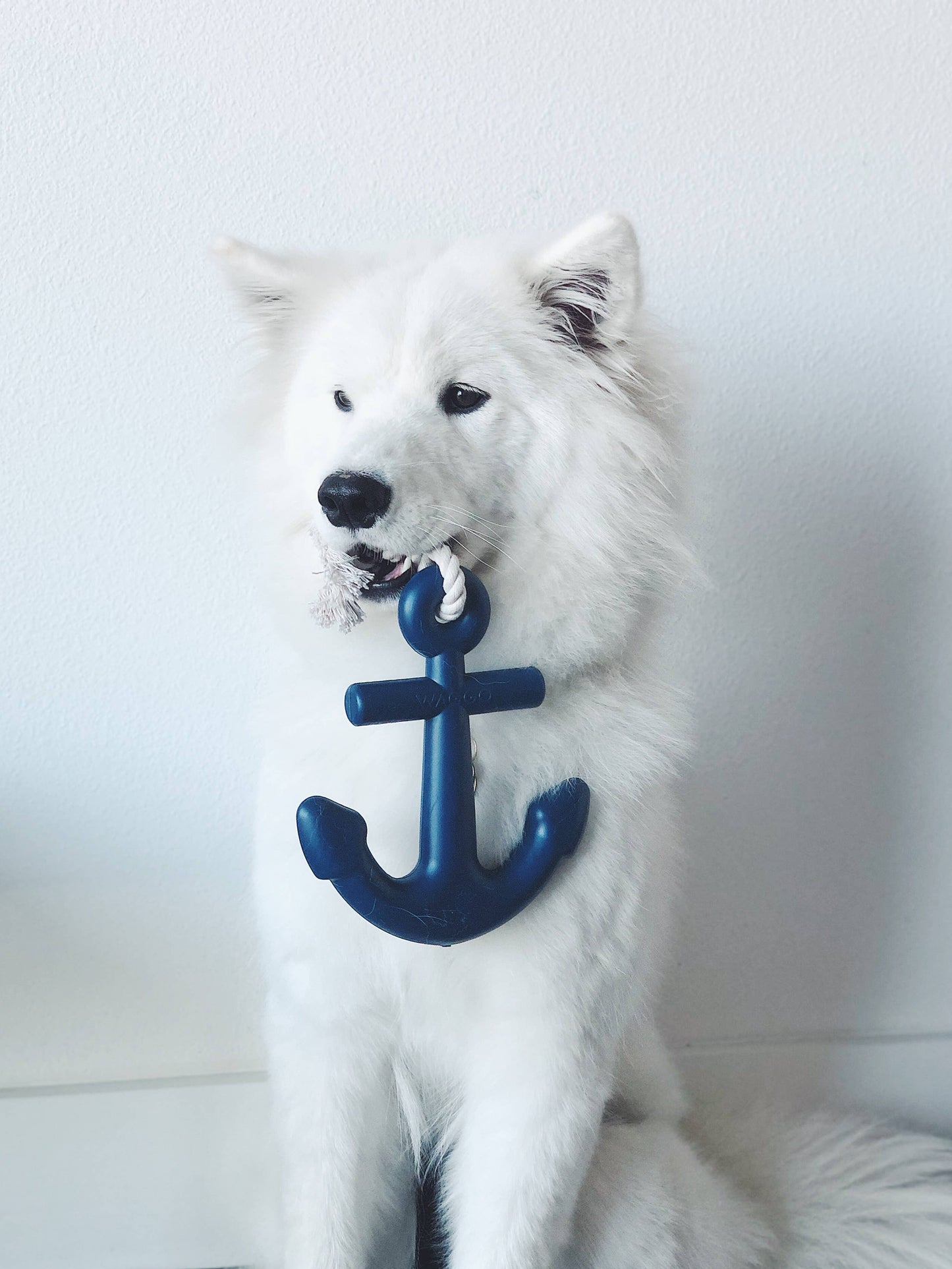 Anchors Aweigh Rubber Dog Toy: Mint / Small