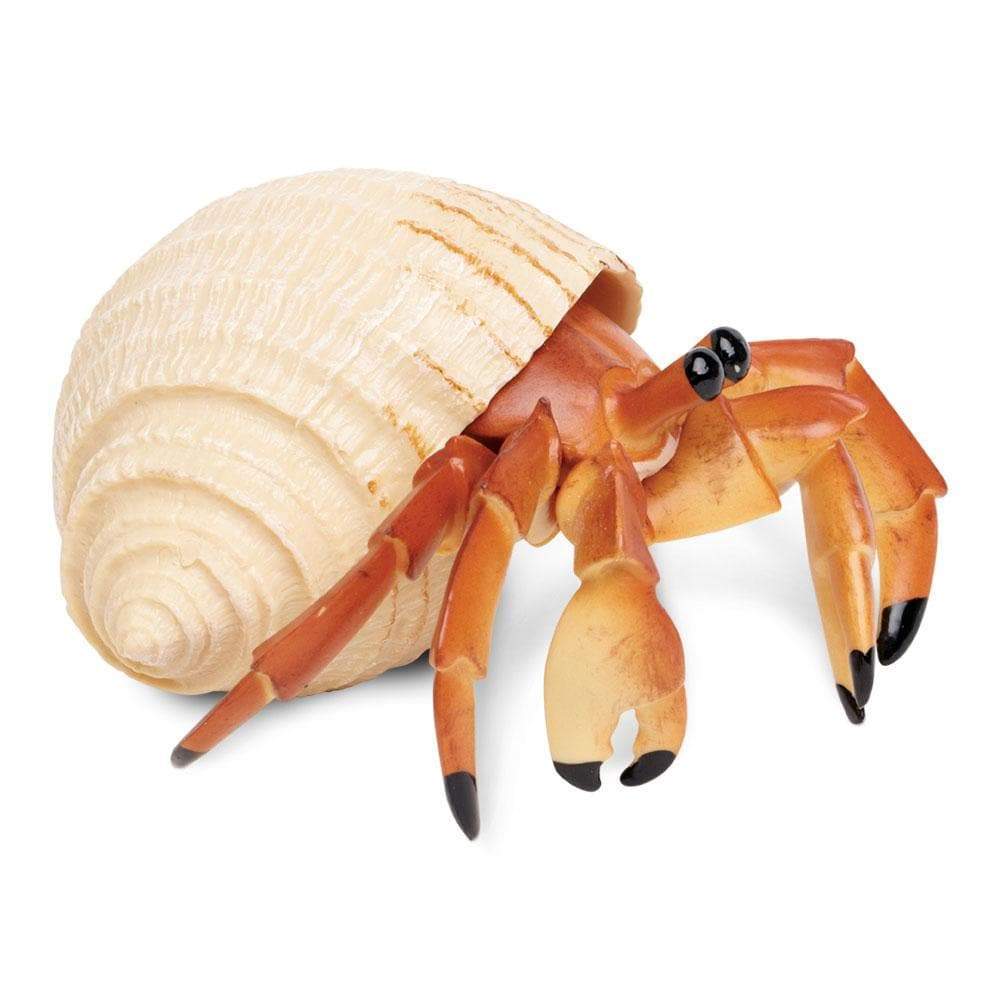 Safari Ltd Hermit Crab figurine bottom view