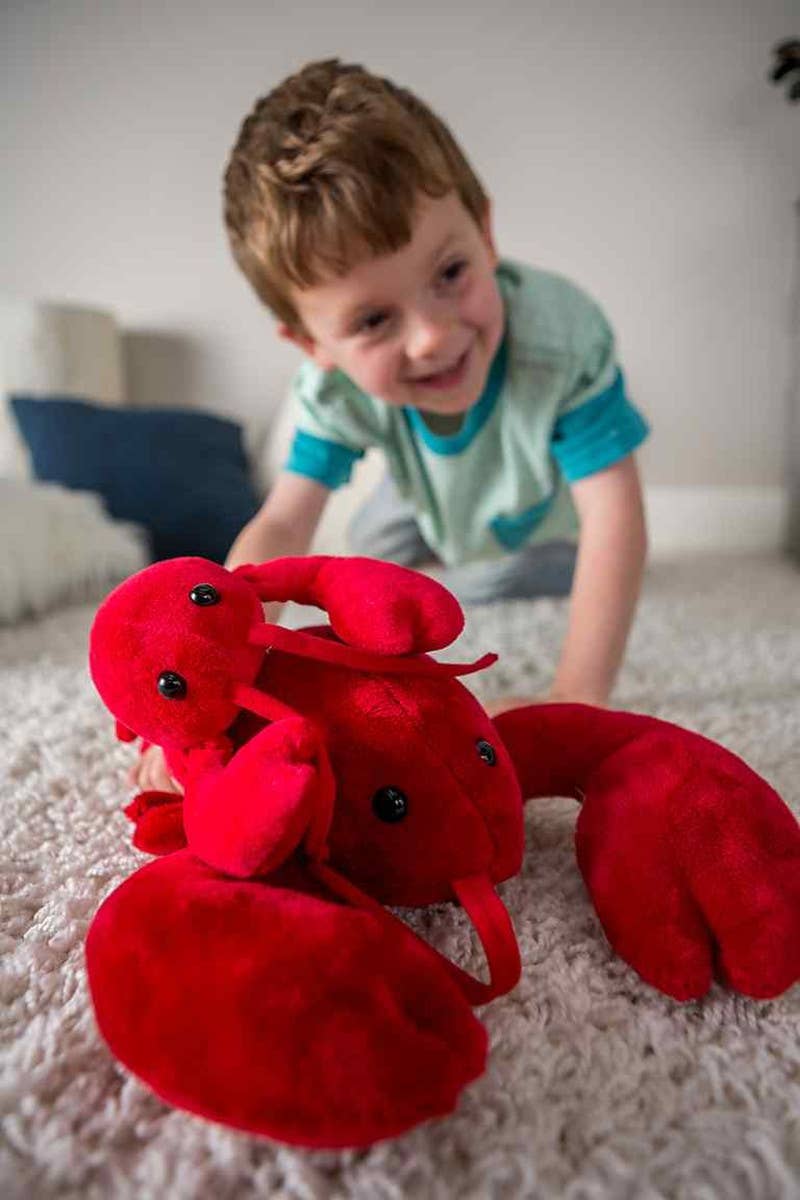Lobbie Lobster - Medium
