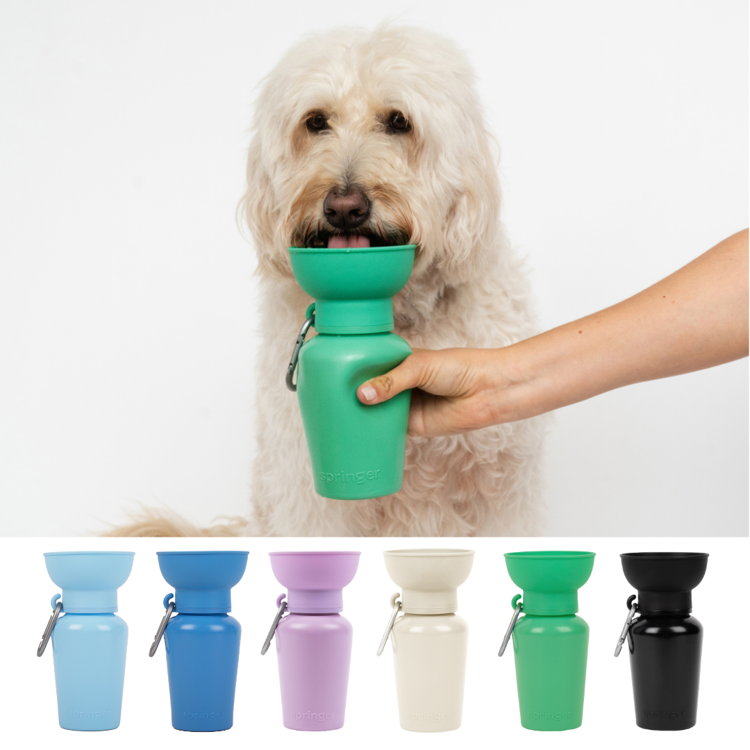 Dog Travel Water Bottle, 20oz, Flip Silicone (Mixed 12 Pack): Mixed (12 Pack)