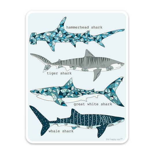 4" Shark ID Sticker