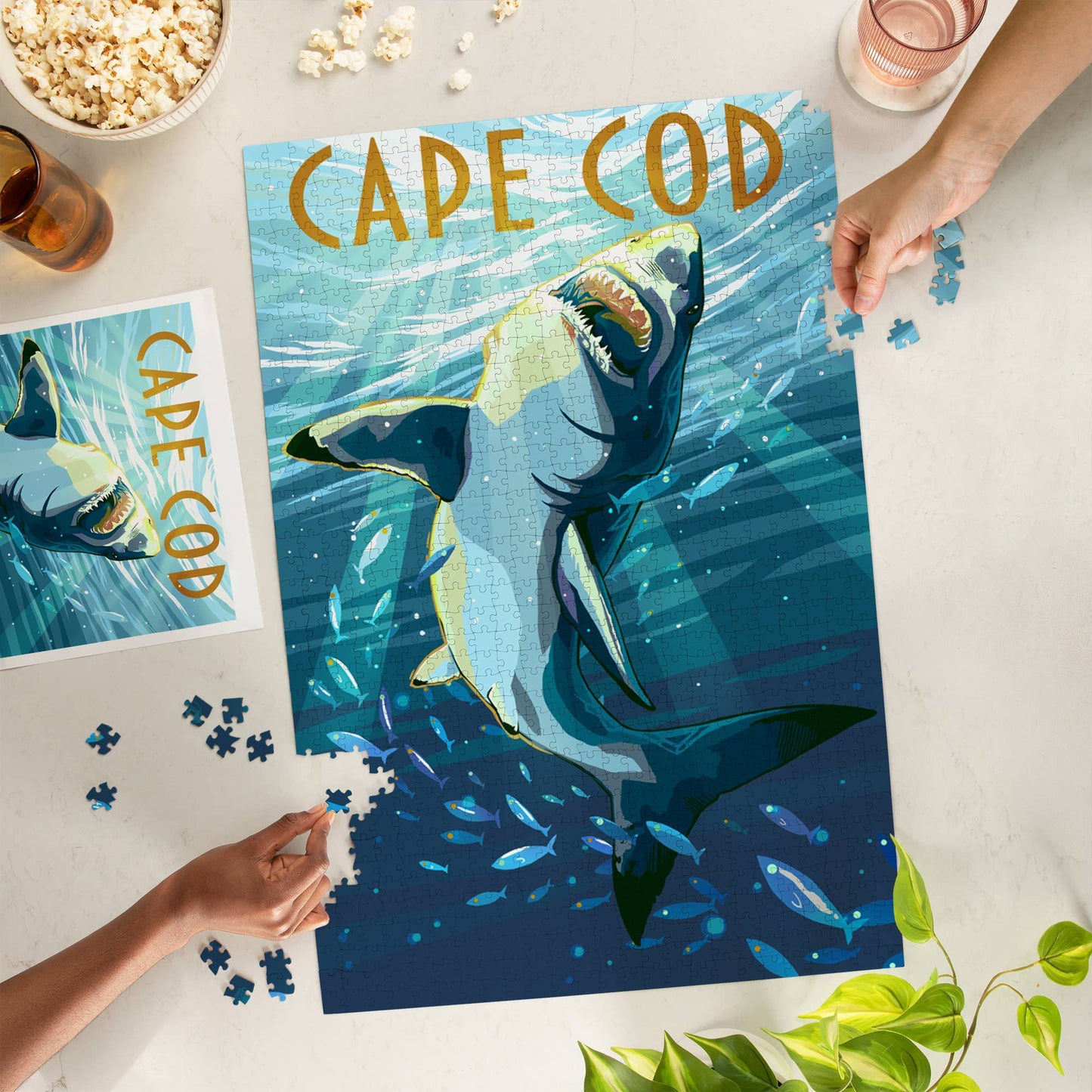 1000 PIECE PUZZLE Cape Cod, Massachusetts, Stylized Shark