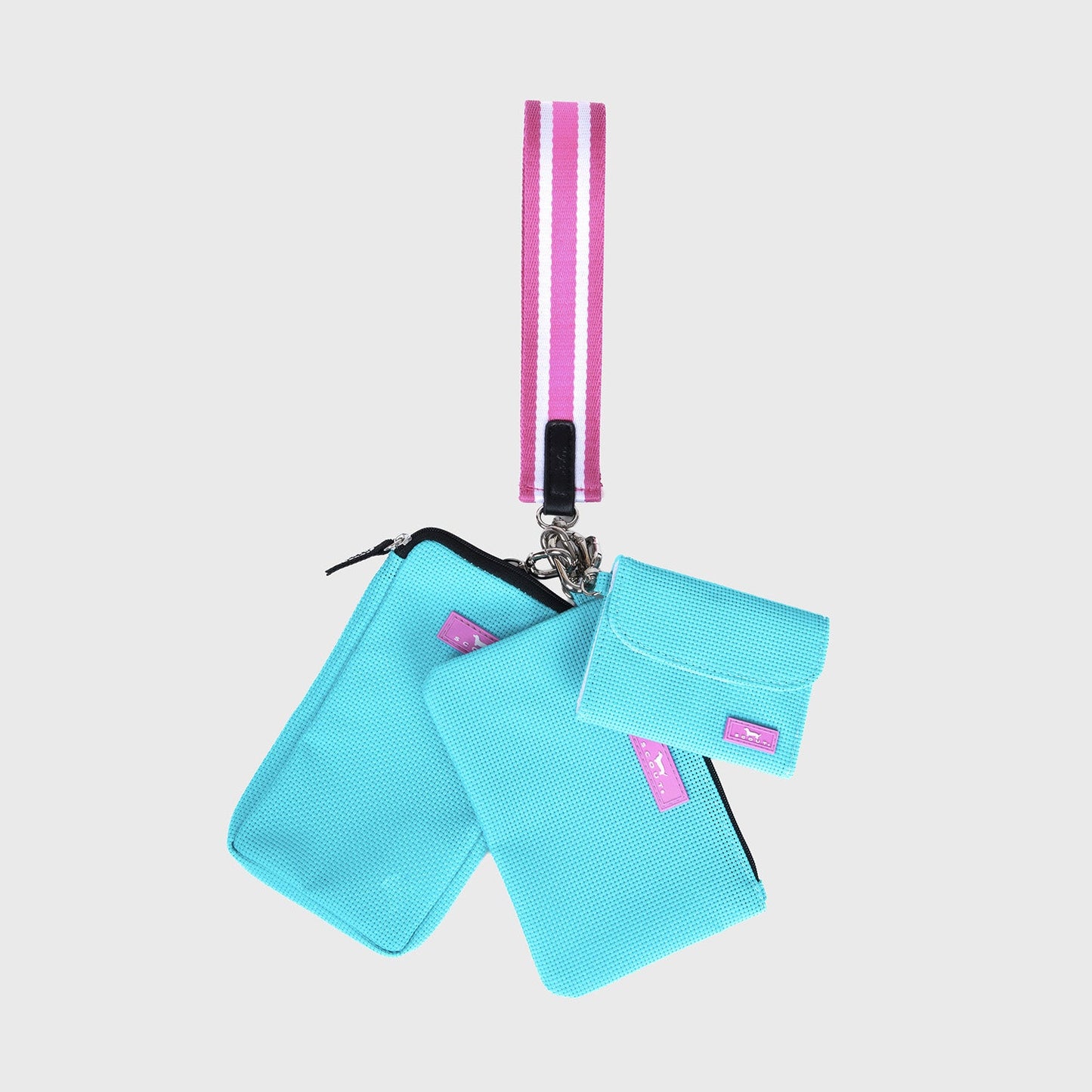 The Carly Pouch wristlet system